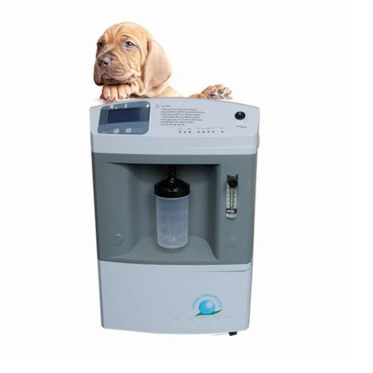 10 Liter Oxygenerator For Animals Use