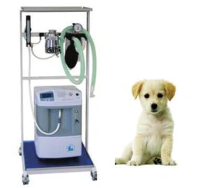 Konċentratur tal-Ossiġnu Għat-Terapija tal-Ossiġnu tal-Annimali Domestiċi