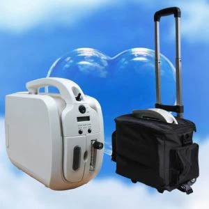 Konċentratur tal-Mini Ossiġenu li Jġorr il-Prezz tal-Fabbrika